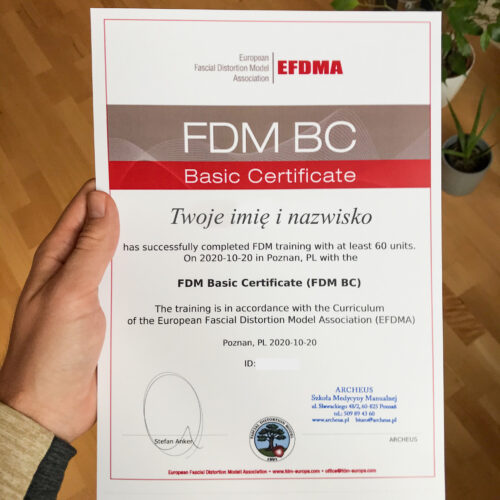 Egzamin podstawowy BC - FDM (Model Odkształceń Powięzi)